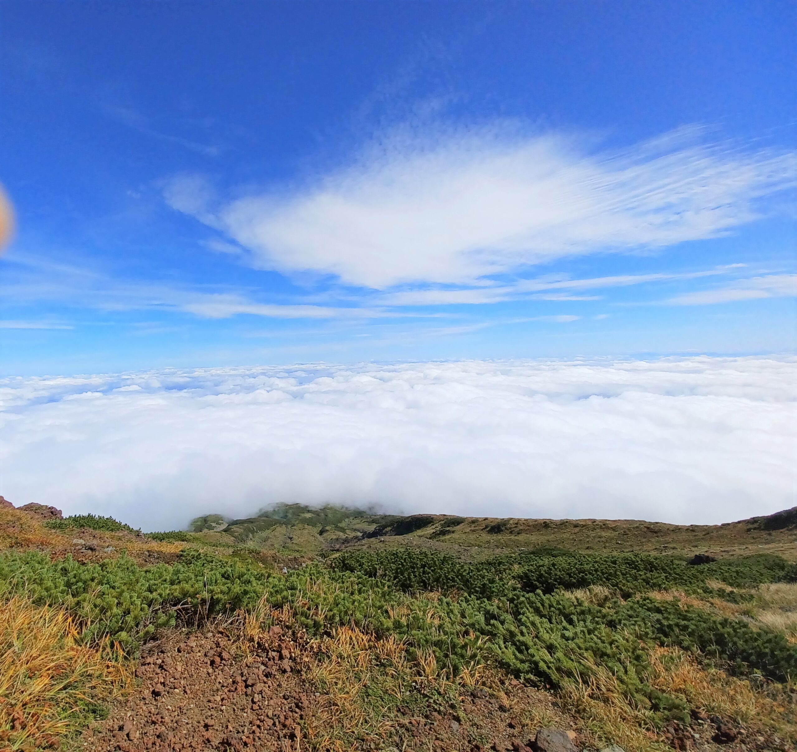 鳥海山（山形県・秋田県）からの雲海